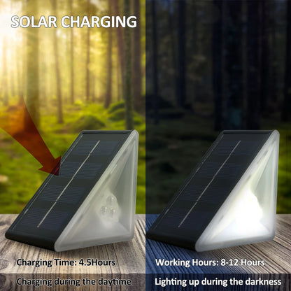 Outdoor Solar Step Lights
